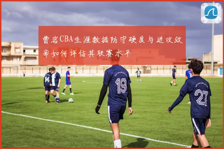 曹岩CBA生涯数据防守硬度与进攻效率如何评估其联赛水平